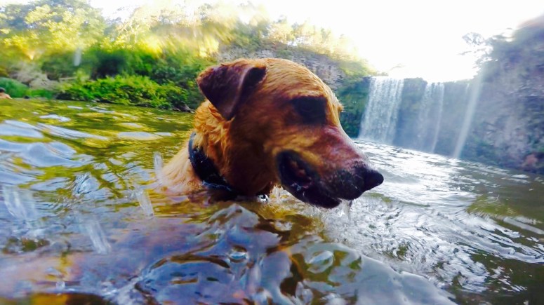 Screen Shot 2015-11-26 at 12.53.28 am