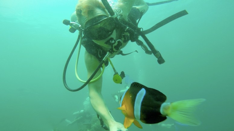 Screen Shot 2016-01-08 at 5.45.15 am