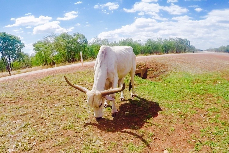 Screen Shot 2015-12-11 at 11.14.16 pm