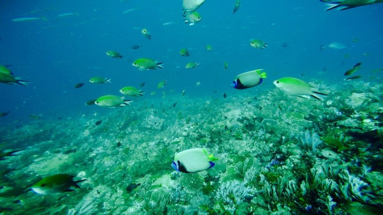 Screen Shot 2016-01-13 at 7.02.49 pm