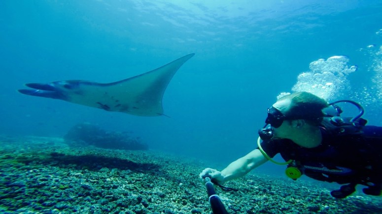 Screen Shot 2016-01-13 at 7.09.42 pm