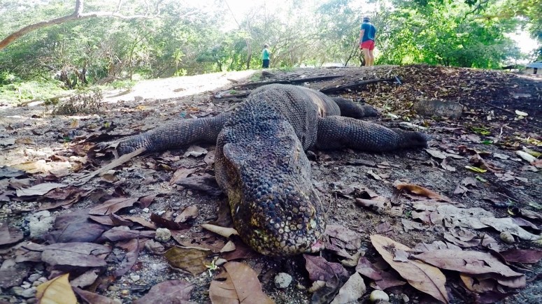 Screen Shot 2016-01-13 at 7.12.02 pm