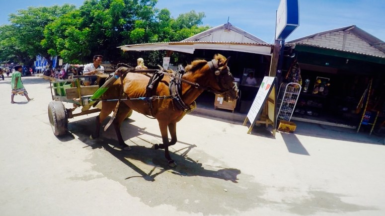 Screen Shot 2016-01-29 at 8.34.50 pm