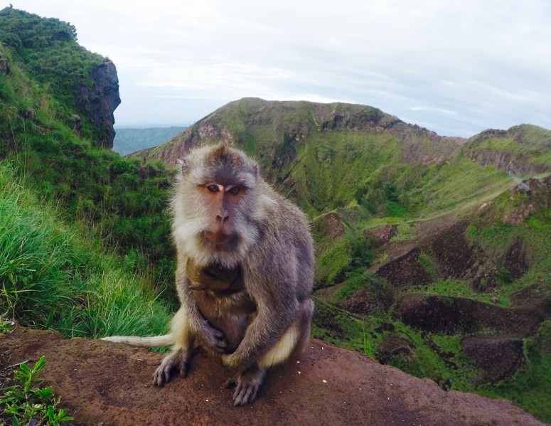 DCIM100GOPROG0042740.