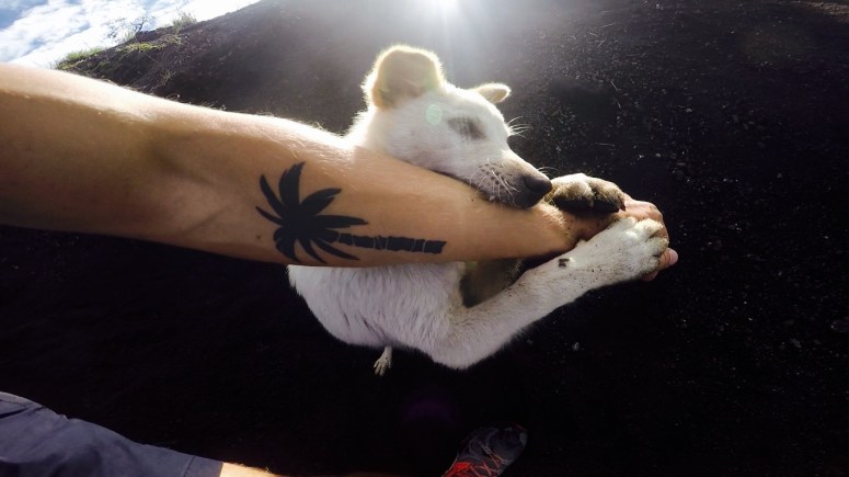 Screen Shot 2016-02-12 at 11.41.41 pm