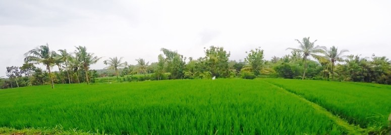 Screen Shot 2016-02-12 at 11.55.46 pm