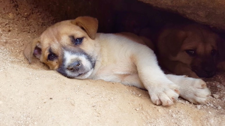 Screen Shot 2016-03-18 at 11.54.54 pm