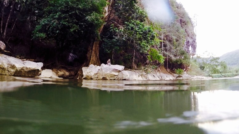 Screen Shot 2016-03-26 at 10.52.16 pm