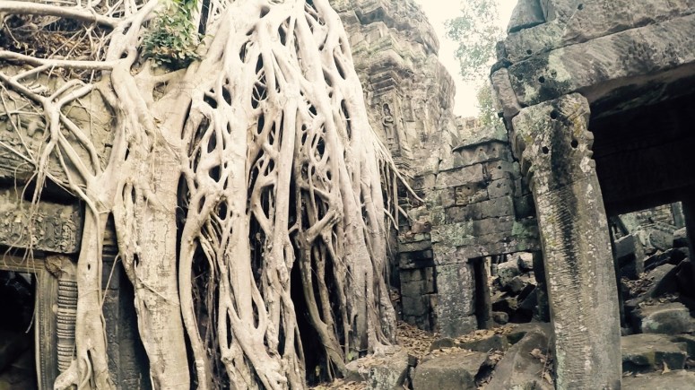 Screen Shot 2016-03-29 at 12.00.51 am