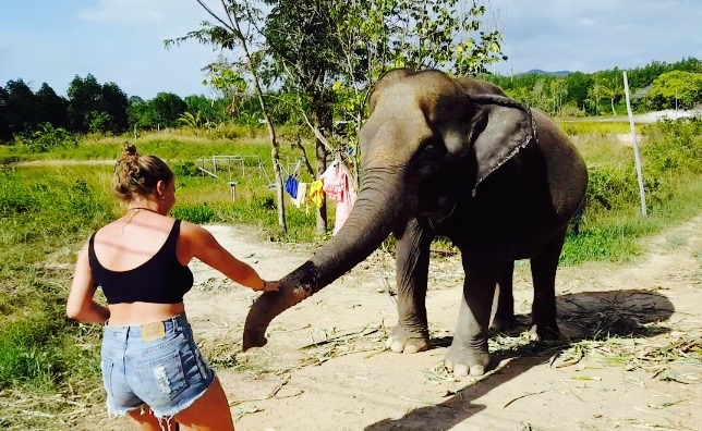 Screen Shot 2016-04-09 at 11.35.35 am.jpg