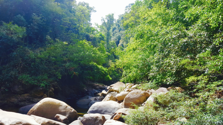 Screen Shot 2016-04-09 at 12.42.24 pm