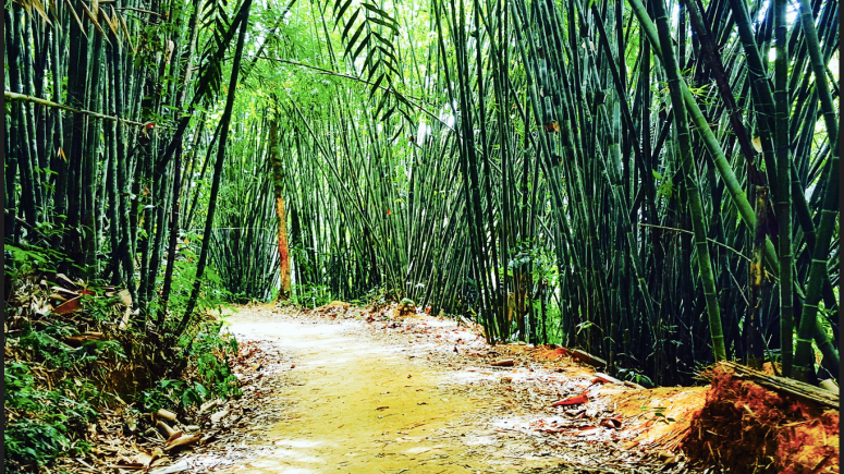 Screen Shot 2016-04-09 at 12.43.47 pm